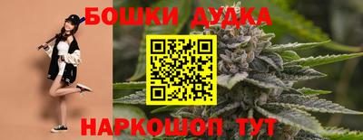 гидра Бузулук